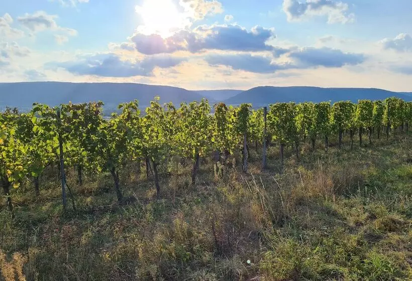 Hotelli Goldenes Fass