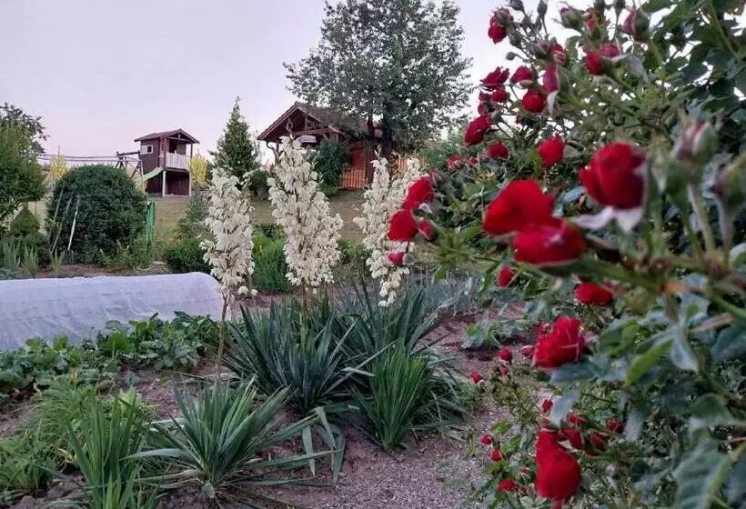 ホテル Gschwandnerhof