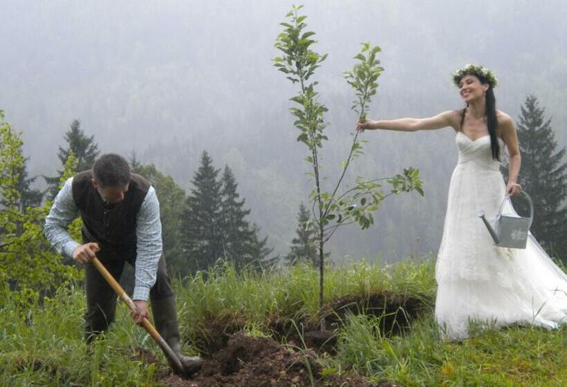 فندق Höhenstein