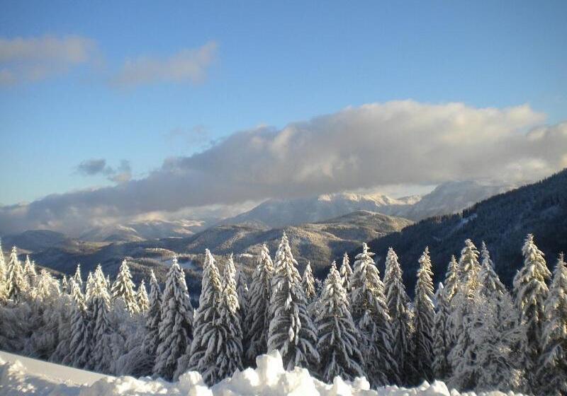 فندق Höhenstein