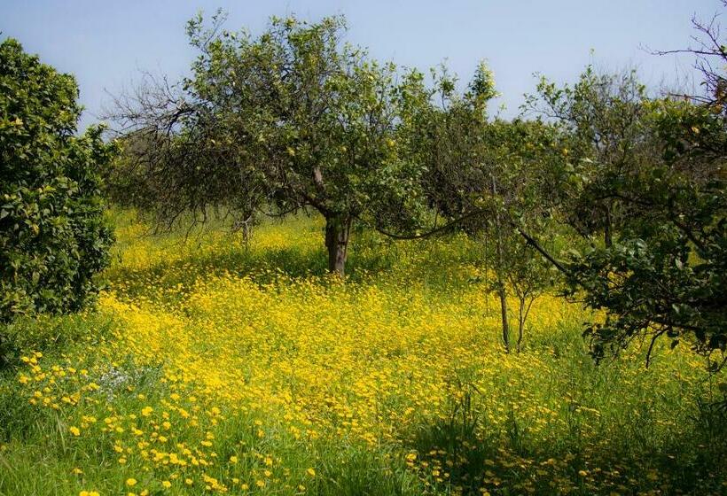 בית מלון כפרי Il Melograno