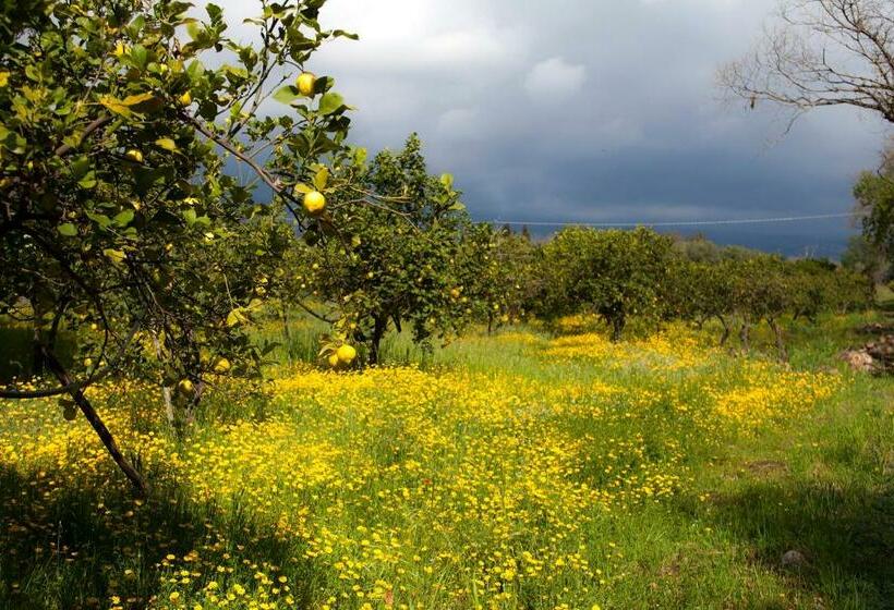 בית מלון כפרי Il Melograno