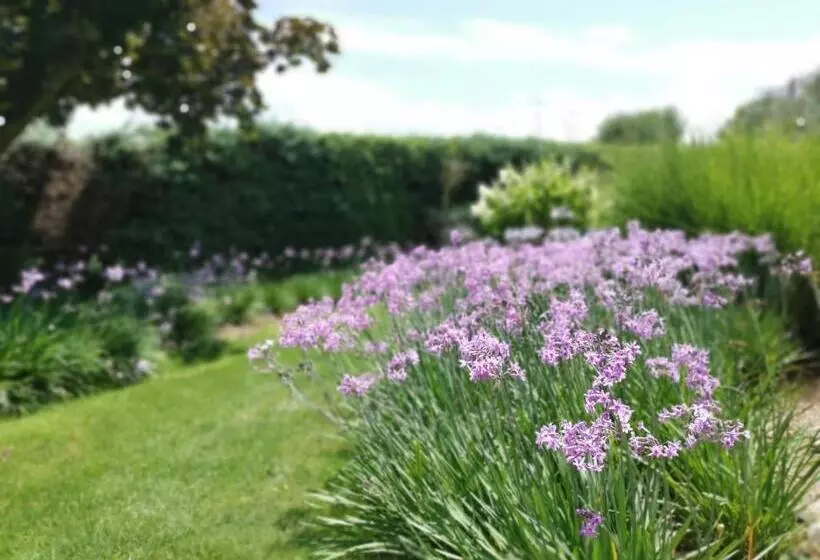 ホテル La Bastide Des Muriers