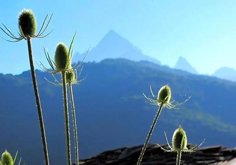 Hotelli Rifugio Galaberna