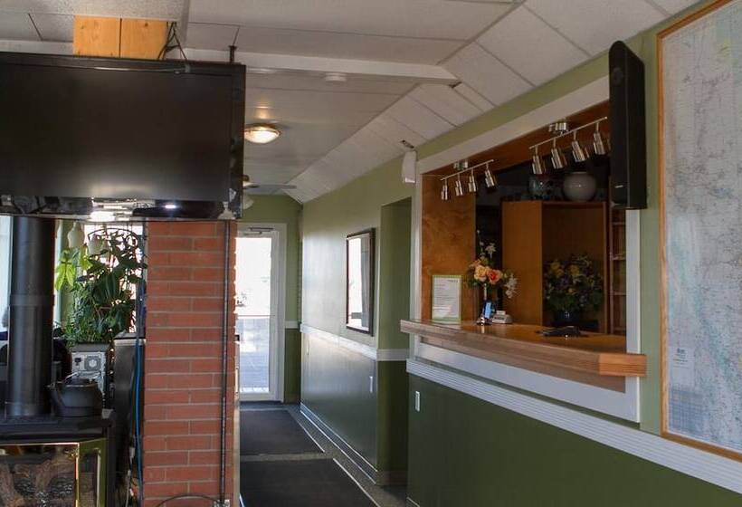 فندق على الطريق Woodland Motor Inn