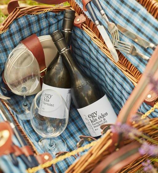 펜션 Barta Pince Vendégház Mád