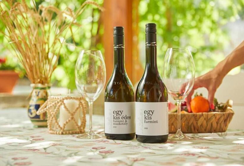 펜션 Barta Pince Vendégház Mád