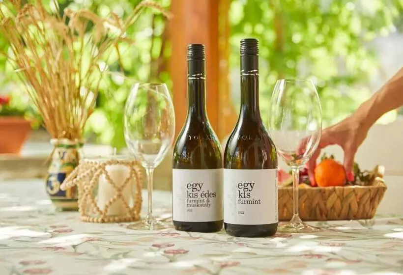 Majatalo Barta Pince Vendégház Mád