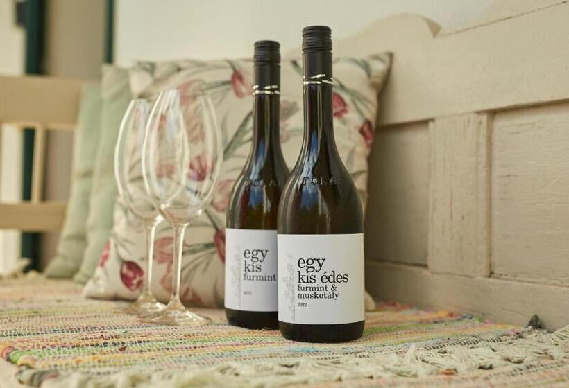 펜션 Barta Pince Vendégház Mád