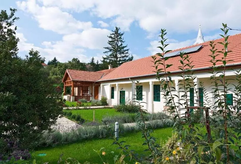 Majatalo Barta Pince Vendégház Mád