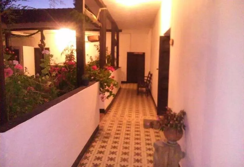 ペンション Casa Del Colibri