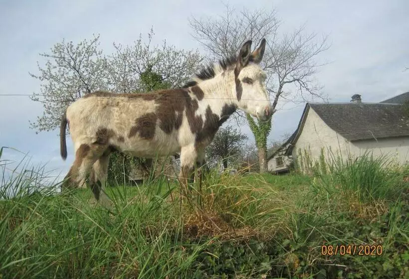 ペンション Le Commerce