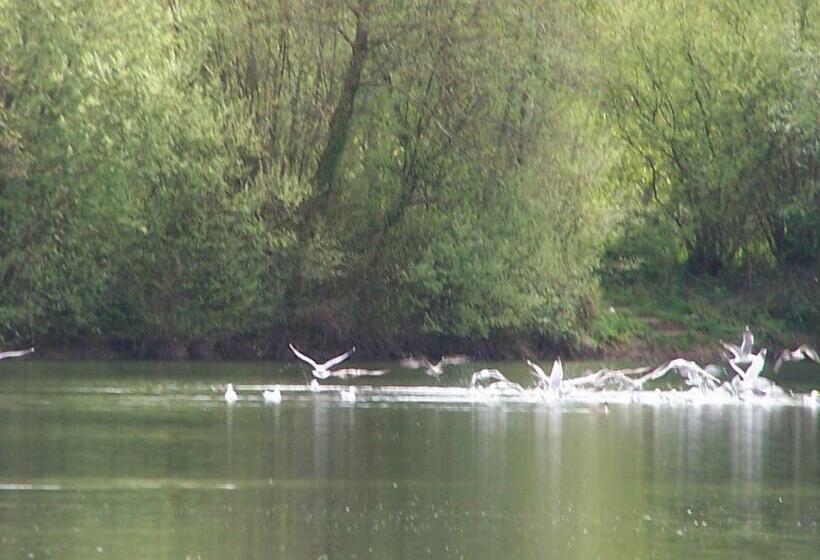 Pensionat Le Vieux Chien Noir