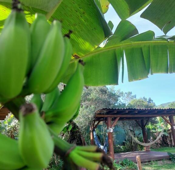 膳宿费 Pousada Raízes Da Guarda