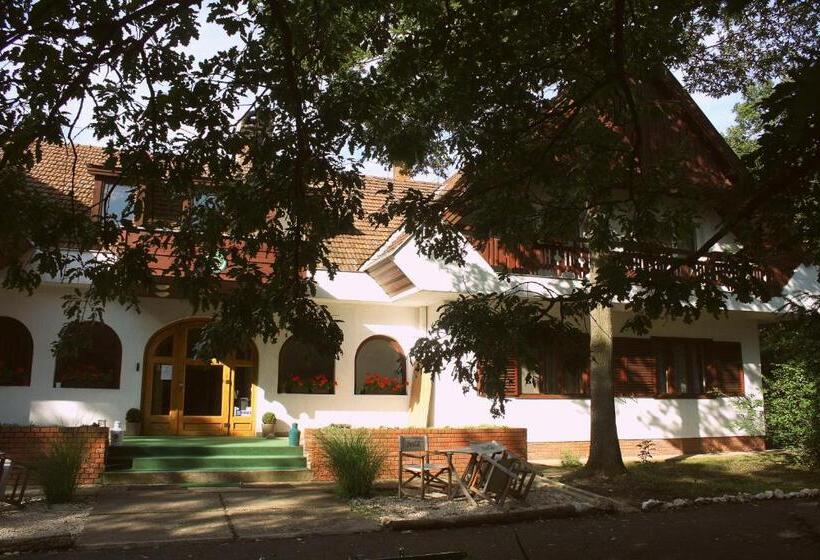 Pensionat Zseri Vadászház