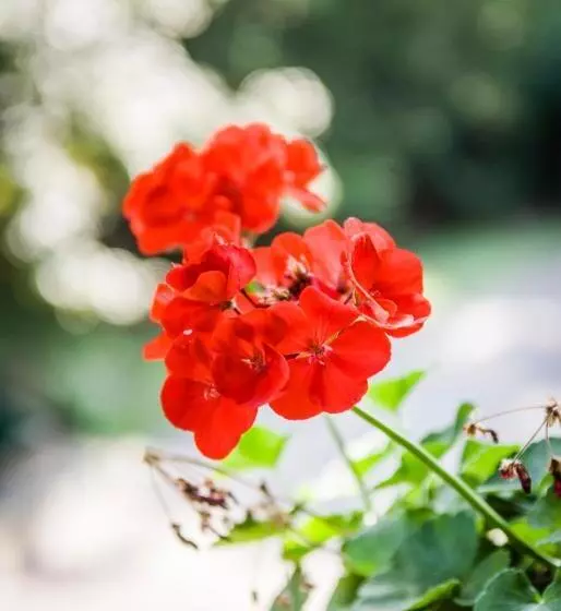 ペンション Zseri Vadászház