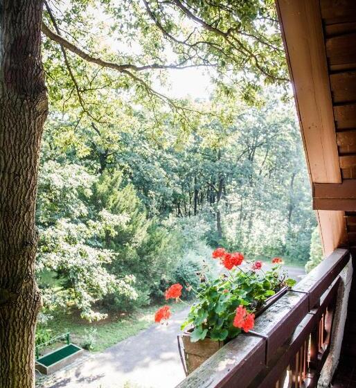 Pensionat Zseri Vadászház