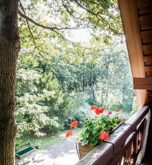 ペンション Zseri Vadászház