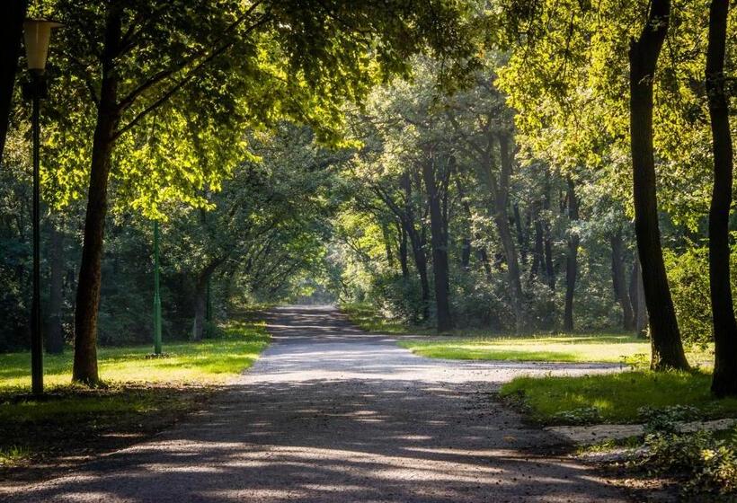 Pensionat Zseri Vadászház