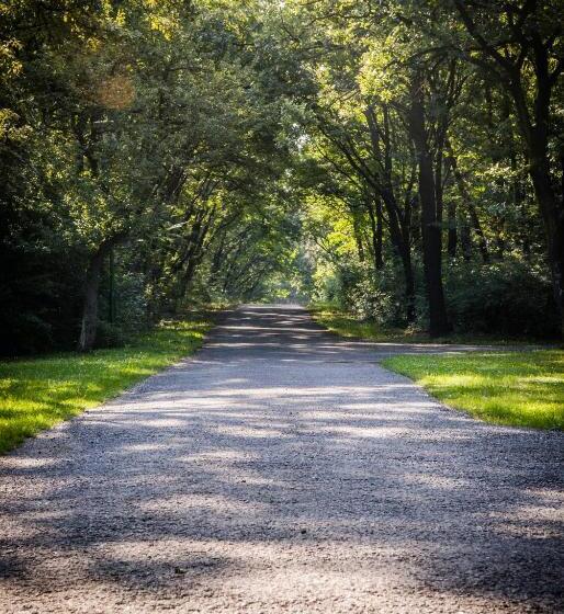 Pensionat Zseri Vadászház