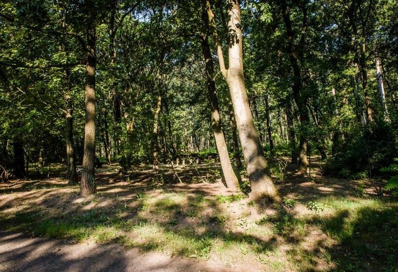 Pensionat Zseri Vadászház