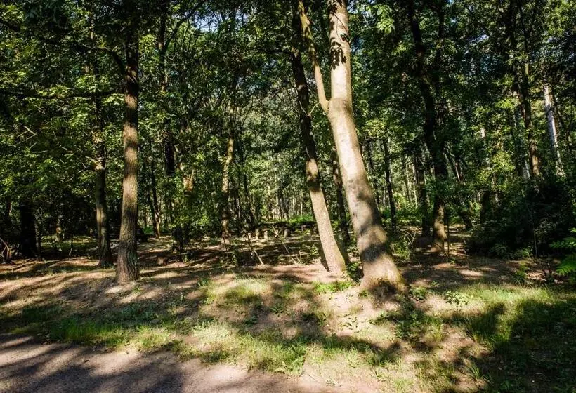 ペンション Zseri Vadászház