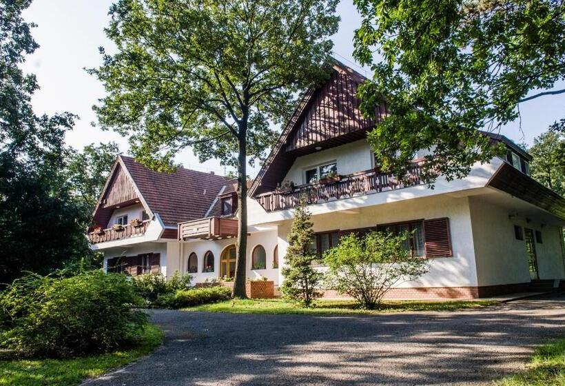 Pensionat Zseri Vadászház