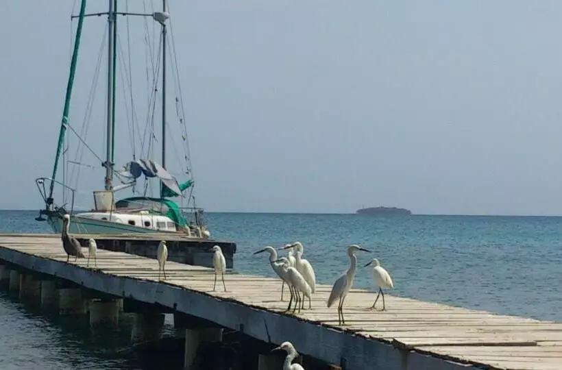 ユースホステル Ecohotel Arte Y Aventura