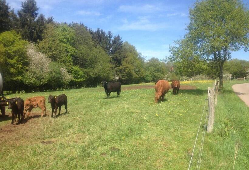 Hospedaria Gasthaus Metzgerei Pension Maßem