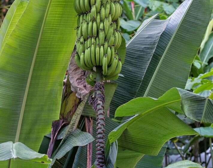 Bed & Breakfast Casa Santa Maria