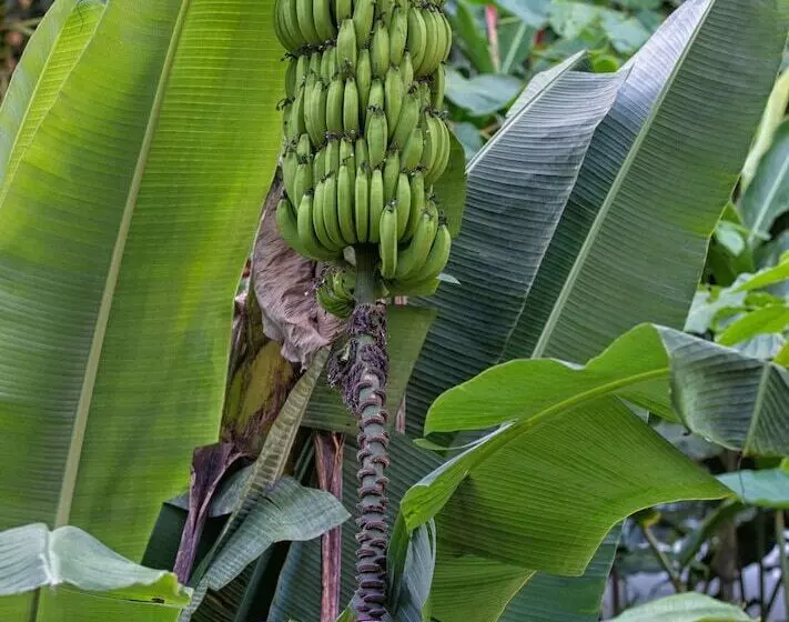 Aamiaismajoitus (B&B) Casa Santa Maria