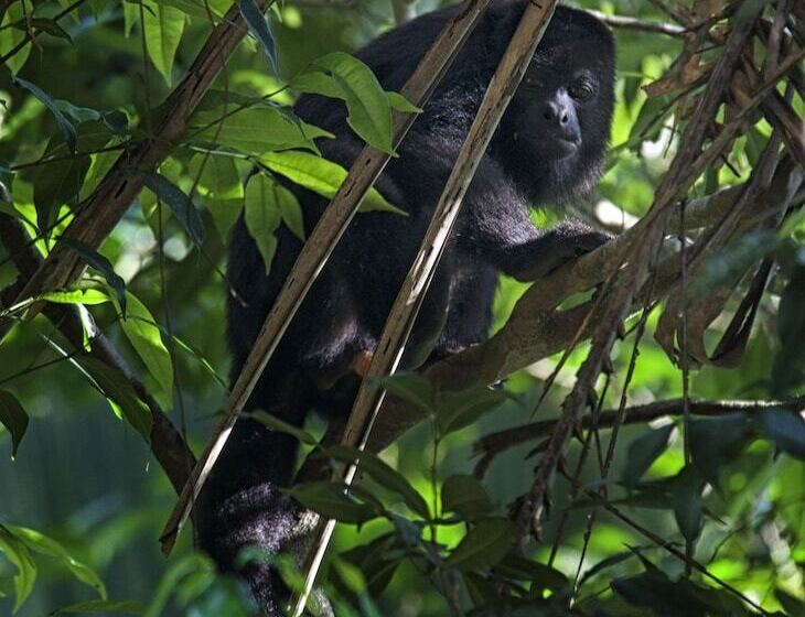 Bed & Breakfast Casa Santa Maria