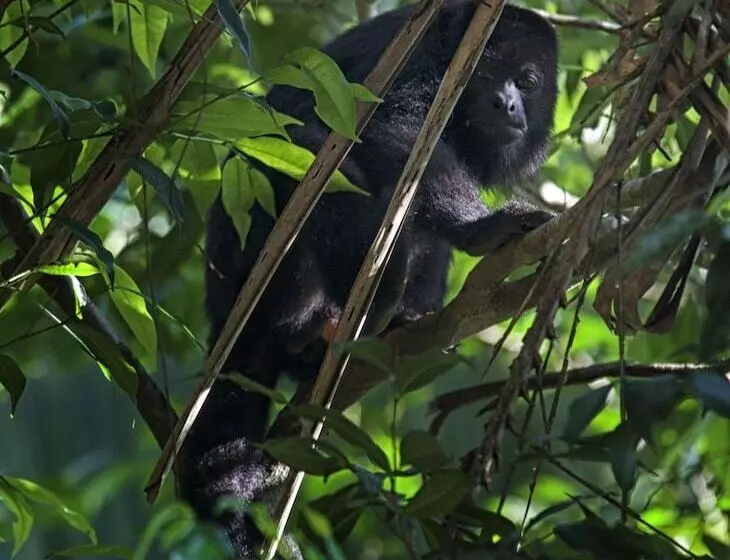 Aamiaismajoitus (B&B) Casa Santa Maria