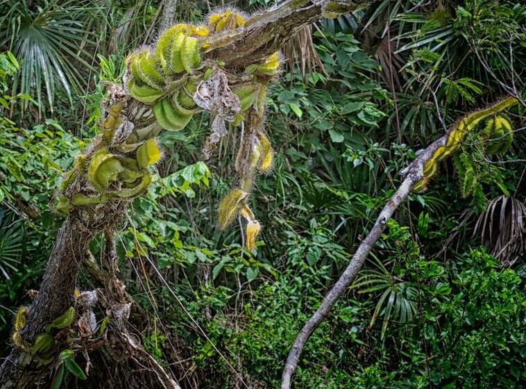 Bed & Breakfast Casa Santa Maria