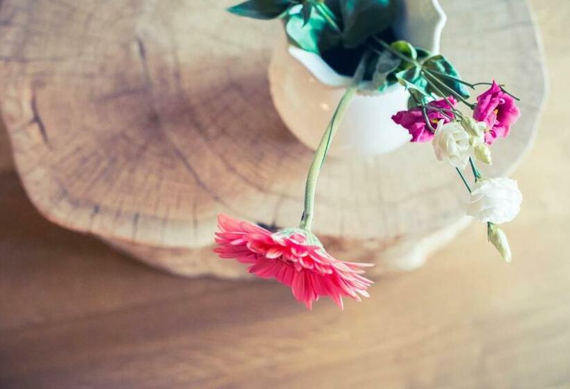 צימר Domaine De Vermoise