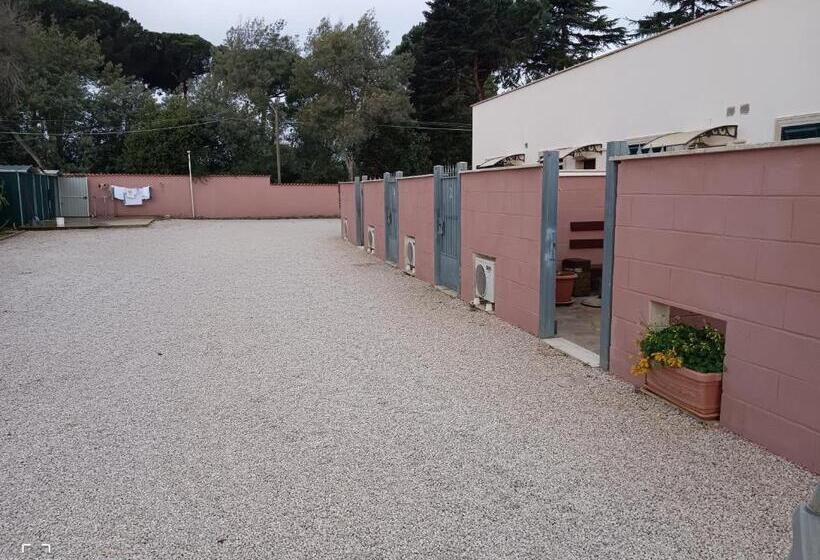 Bed and Breakfast La Tenuta Del Passero