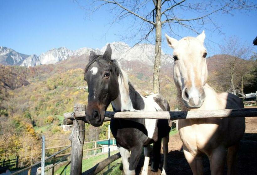 צימר L'angolo Di Paradiso