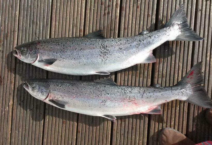 민박 Victoria's House