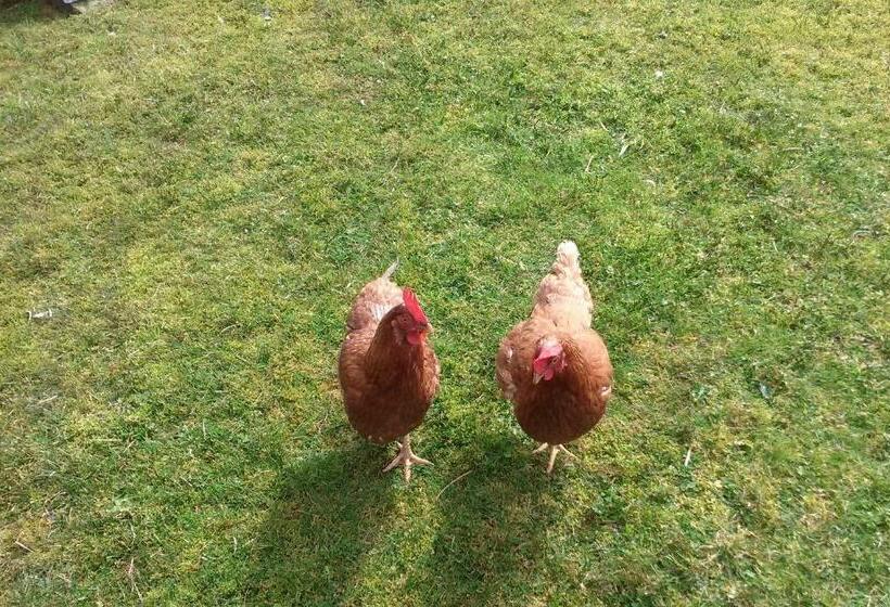 민박 Victoria's House