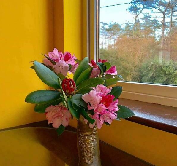 민박 Victoria's House