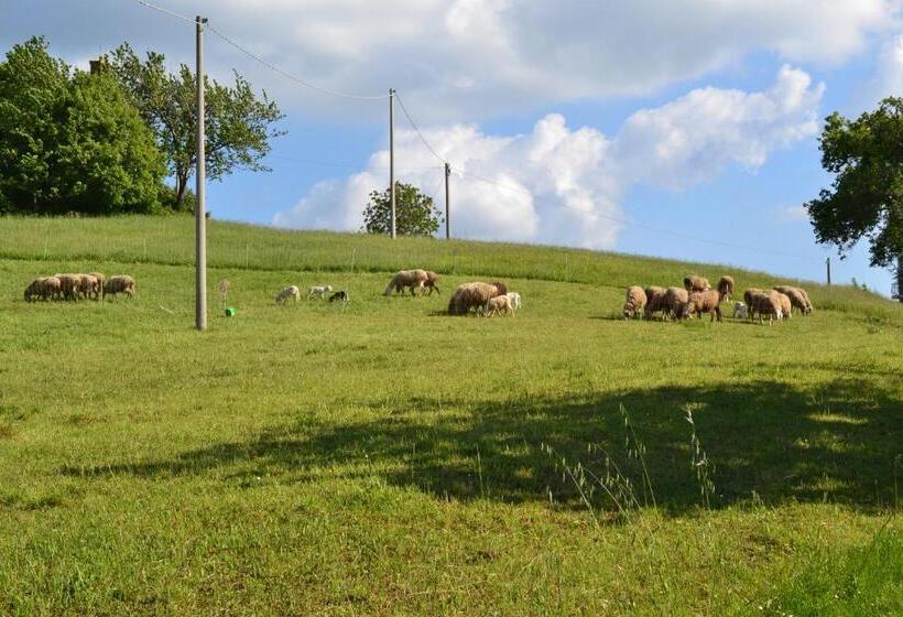 ホテル Agriturismo Montorso