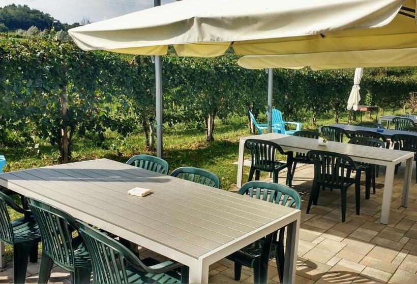 בית מלון כפרי Agriturismo Scribano