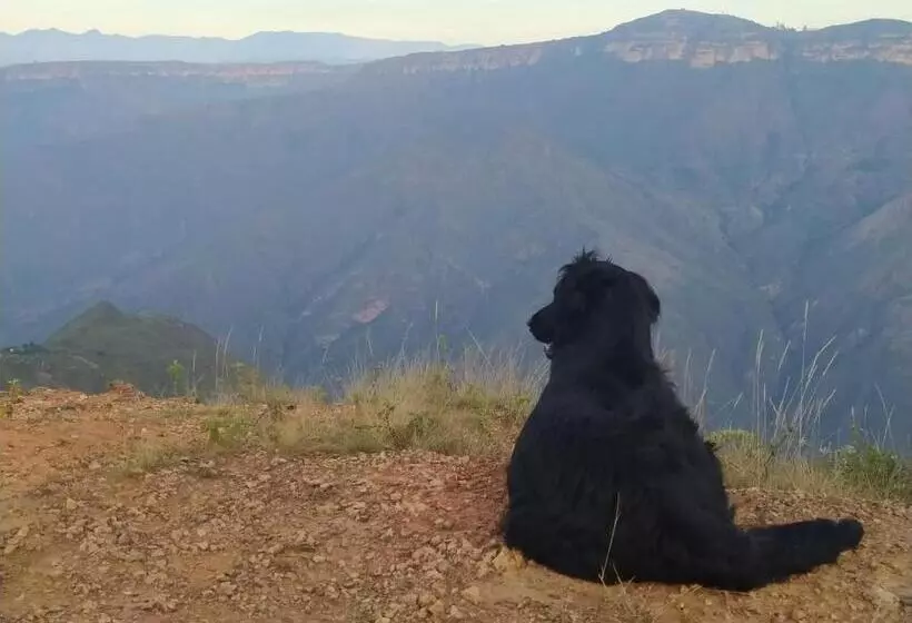 ホテル Cabañas Cañon Del Chicamocha
