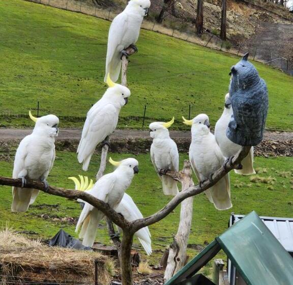 בית מלון כפרי Mount Rumney Escapes   1h Haven Horse House