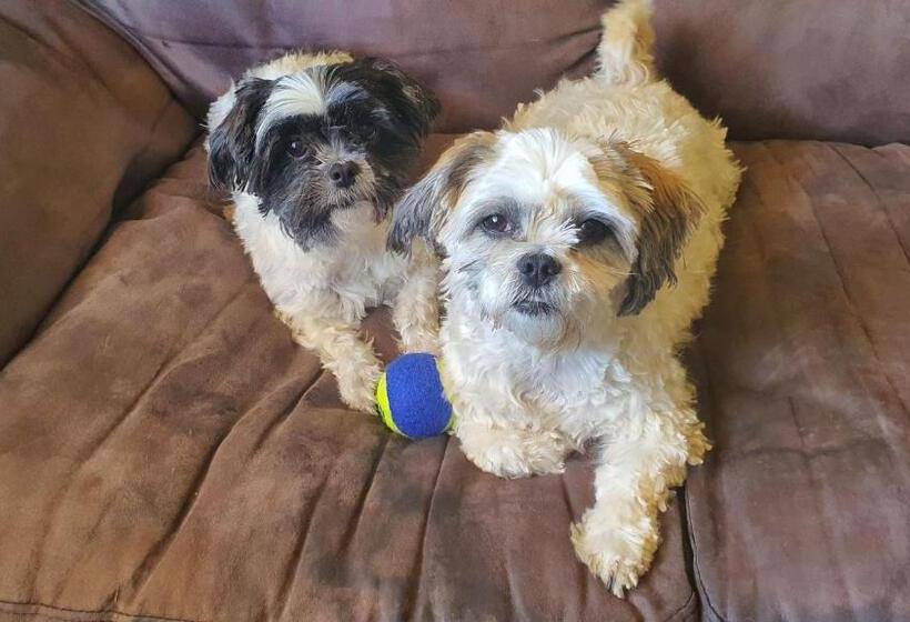 בית מלון כפרי Mount Rumney Escapes   1h Haven Horse House