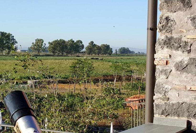 Отель Oasi Di Francesca