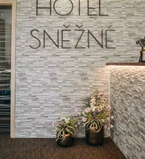 Hotelli Sněžné
