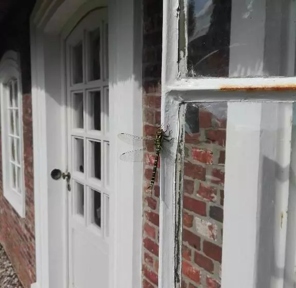 Landsitzhotel Und Seminarium Peterhof