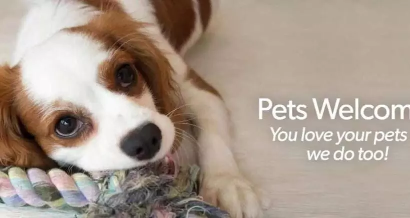 Motelli Roadway Inn Troy