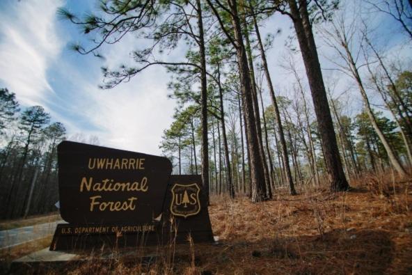 فندق على الطريق Roadway Inn Troy